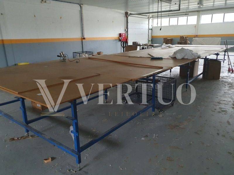 Lote 31