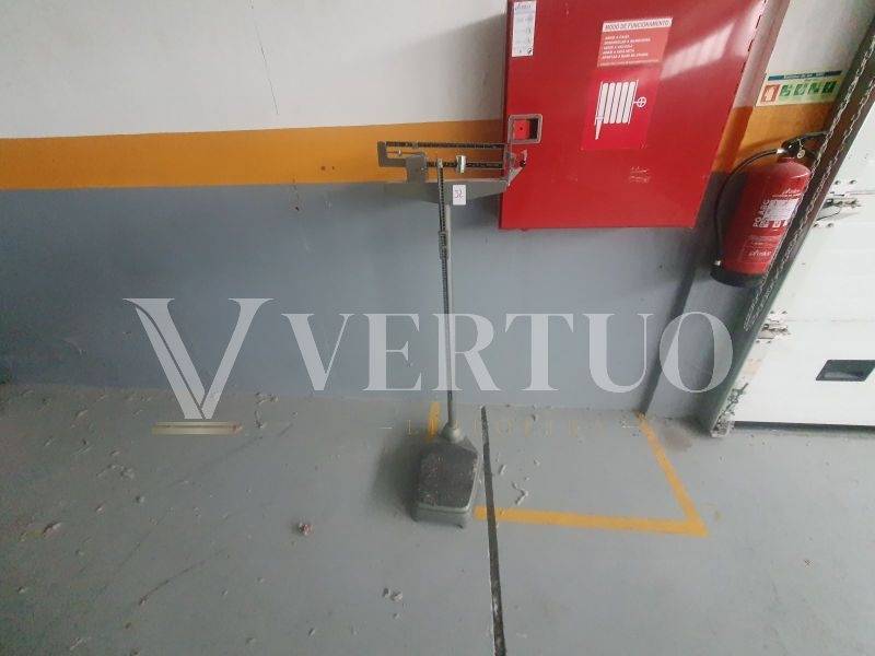 Lote 32