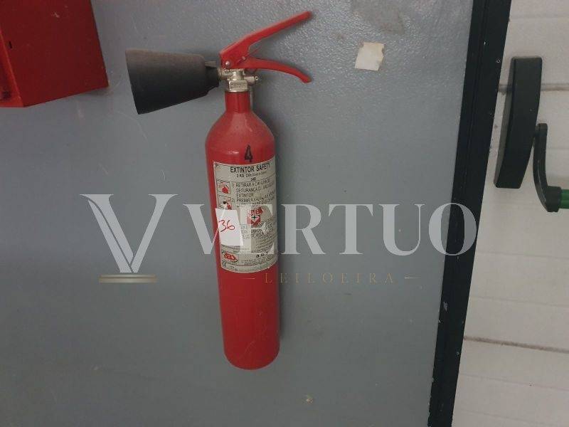 Lote 36