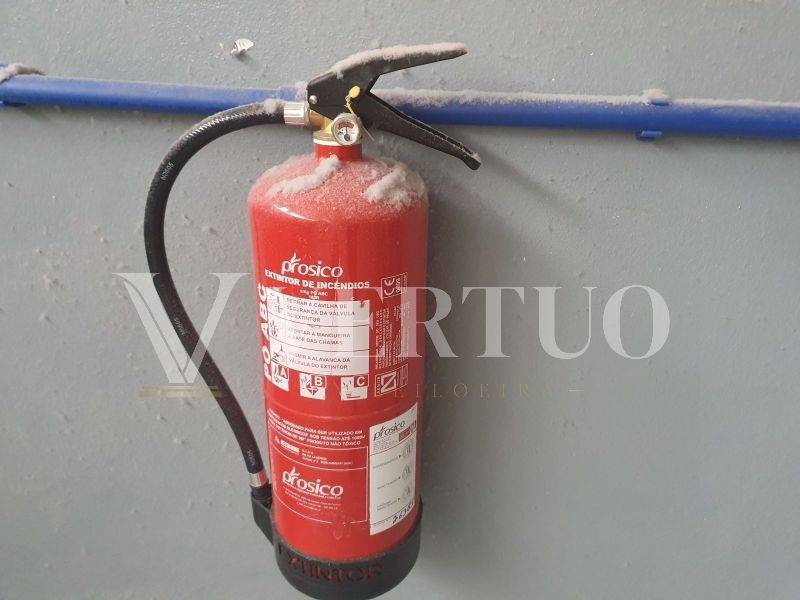 Lote 36