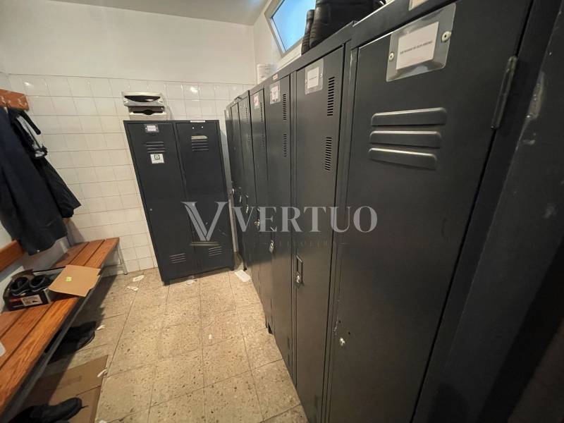 Lote 11