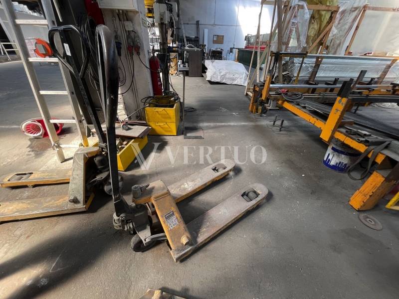Lote 41