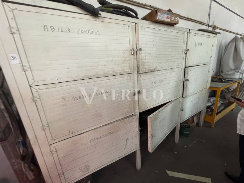 Lote 50