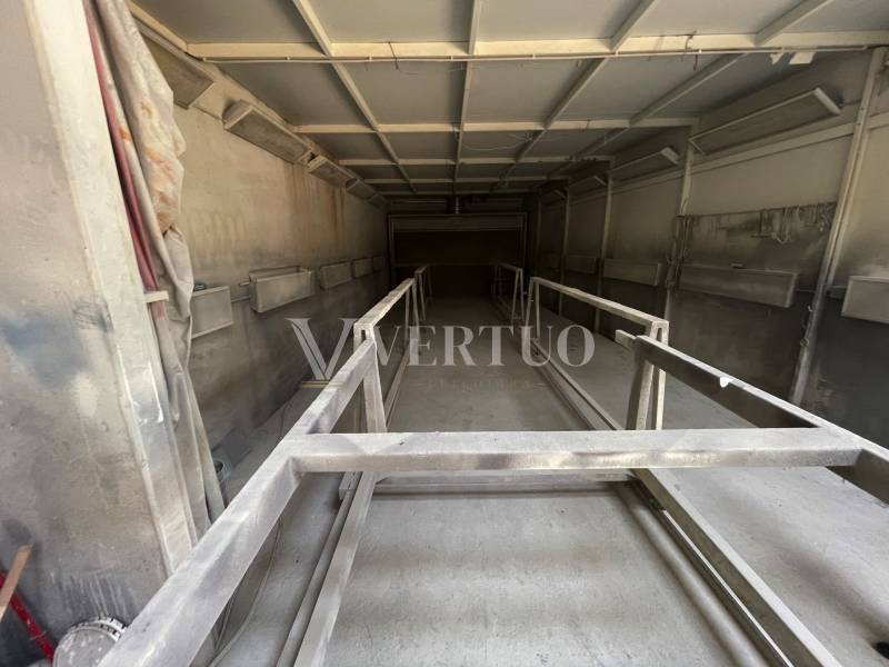 Lote 56