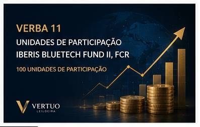 Lote 11