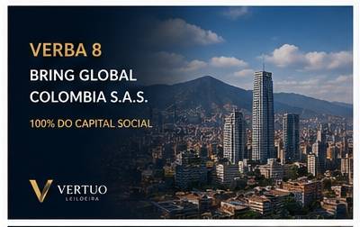 Lote 8