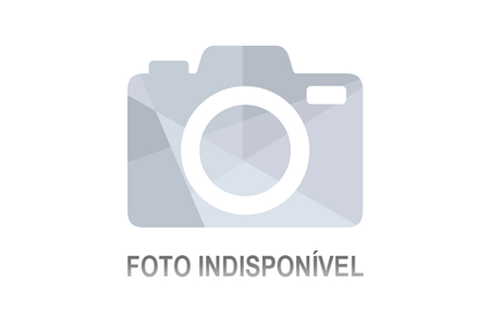 Lote 43